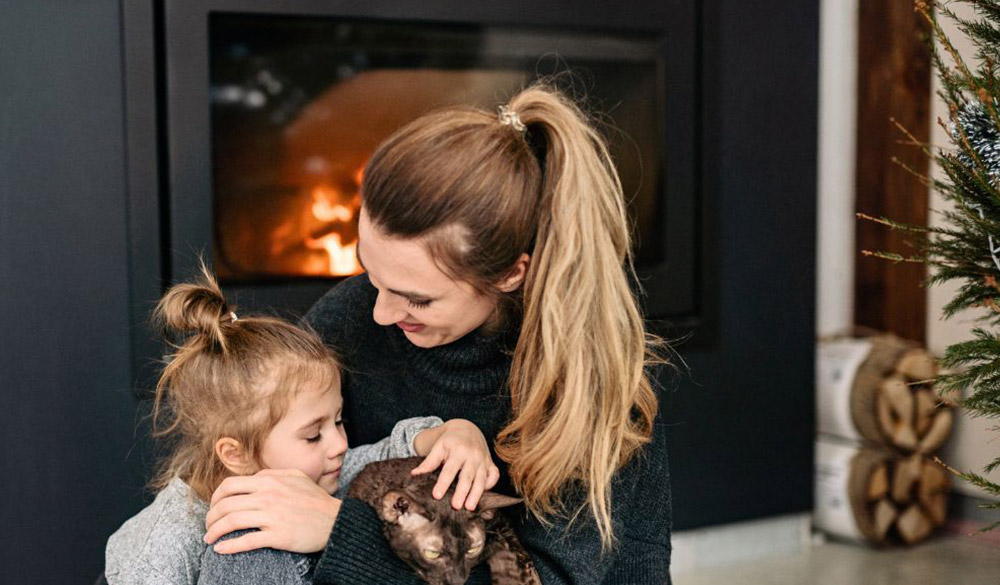 Gute Nachricht: Brennholz bleibt von ETS II unberührt!