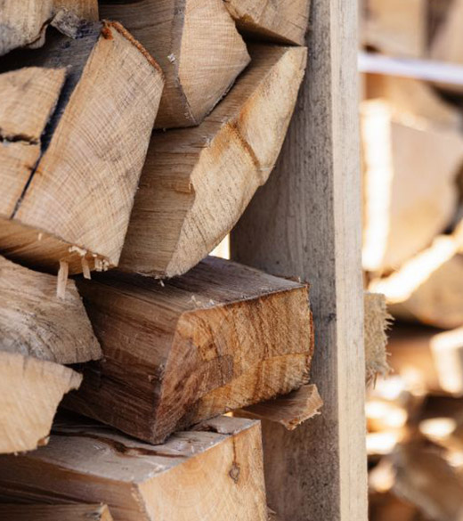 Die besten Preise von Brennholz im Sommer!